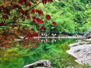 Zhedong Xiaojiuzhai