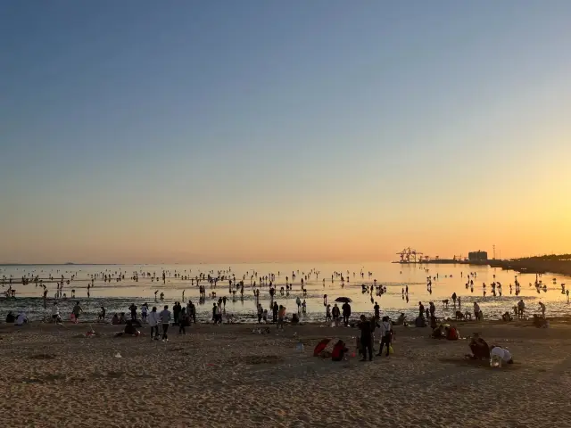 Beachcombing in Yantai