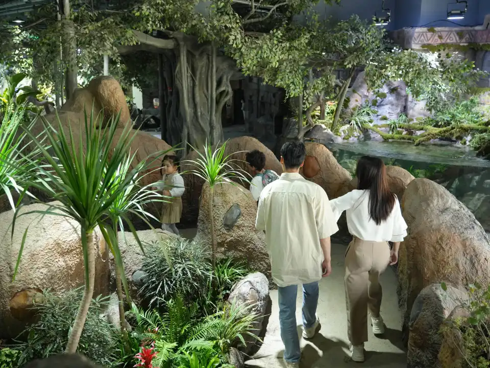 4_舟山長喬雨林動物公園