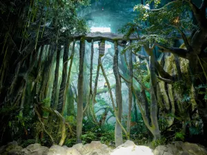 Zhoushan Changqiao Rainforest Animal Park