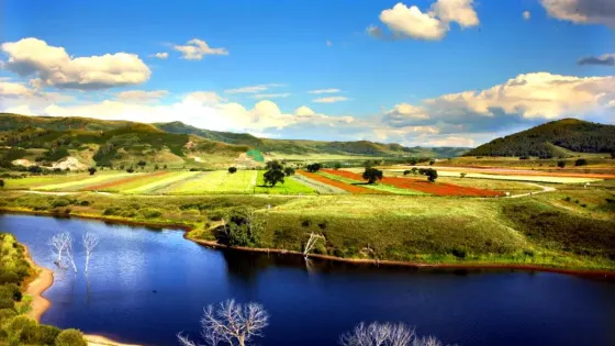 樺木溝國家森林公園