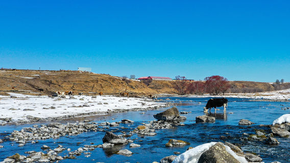 Aershan National Forest Park