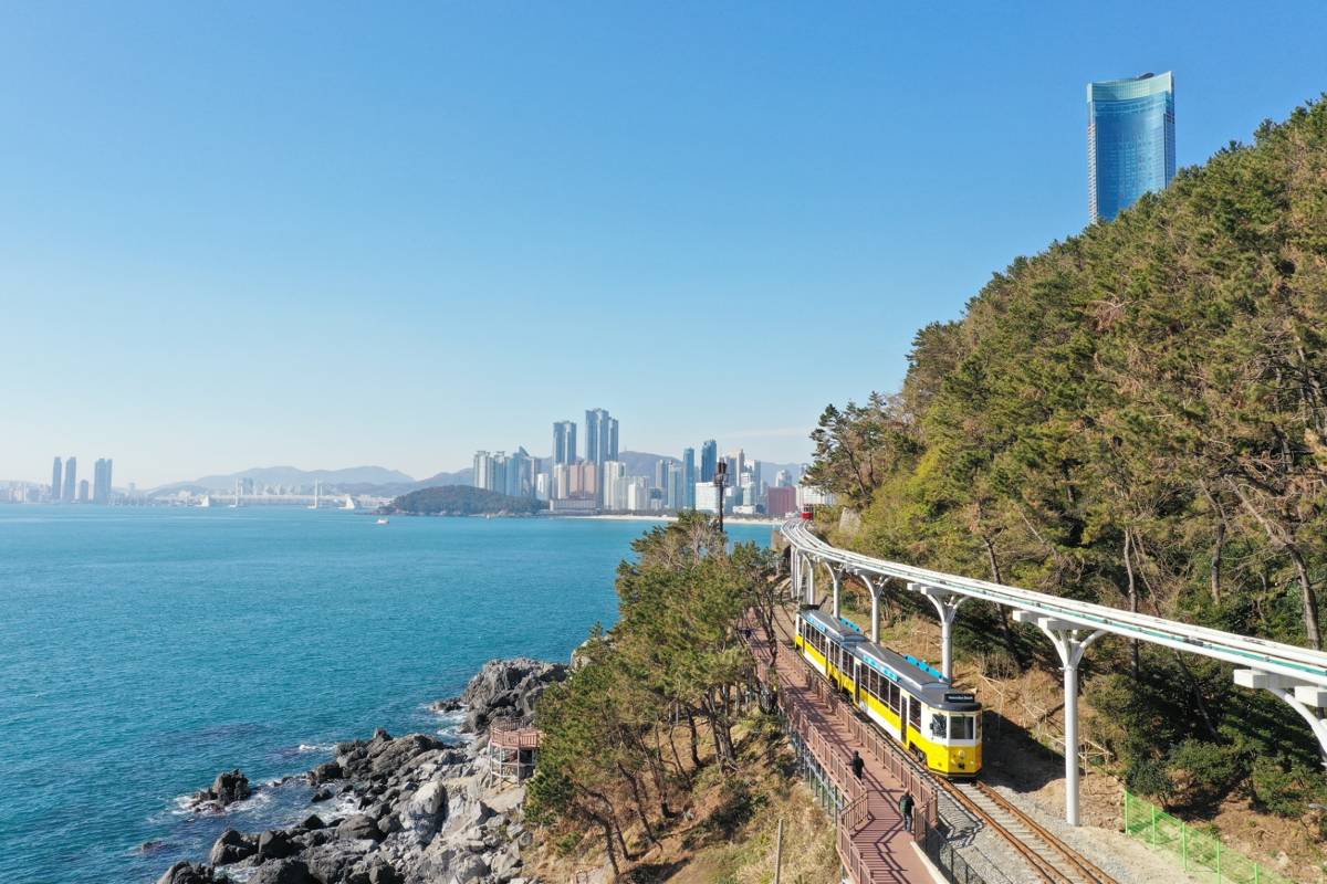 블루라인파크 해변열차 예매 꿀팁