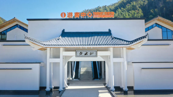 White Daffodil Scenic Spot