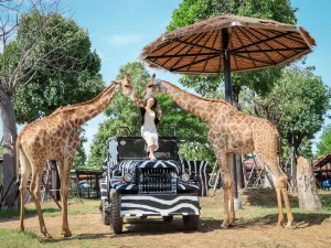 Sriayuthaya Lion Park