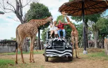 ศรีอยุธยา ไลอ้อน ปาร์ค