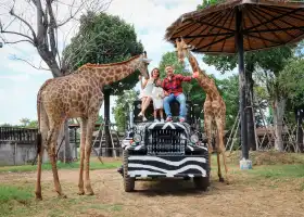 ศรีอยุธยา ไลอ้อน ปาร์ค