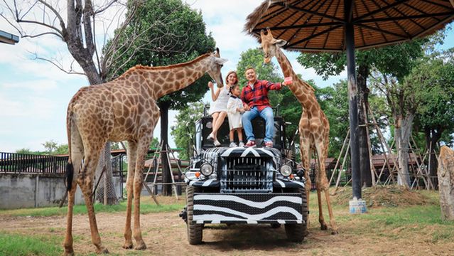 Sriayuthaya Lion Park