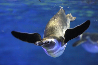 すみだ水族館