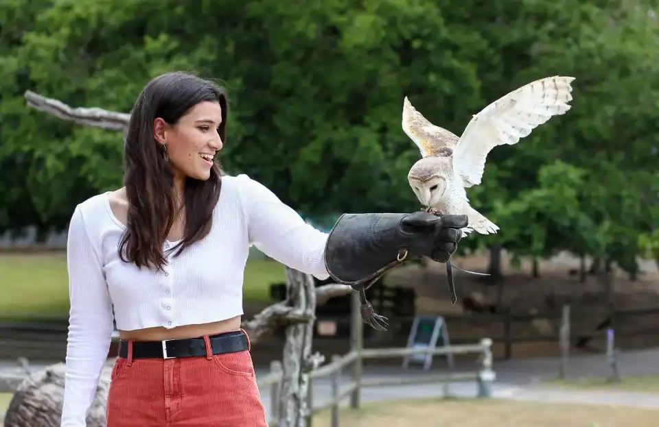3_Lone Pine Koala Sanctuary