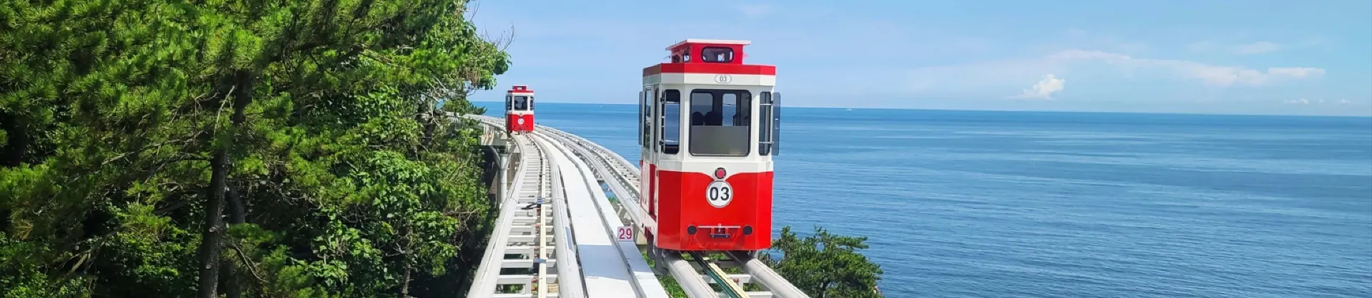 봄꽃 명소