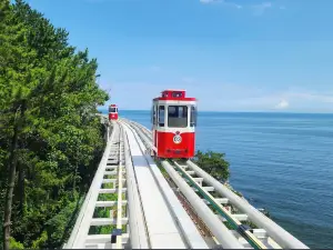 Top 6 Spring Outings in Busan