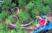 Datanla New Alpine Coaster