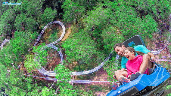 Datanla New Alpine Coaster