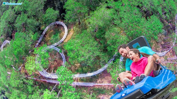 Datanla New Alpine Coaster