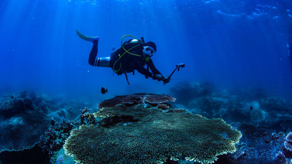 Daidai Island Diving Center
