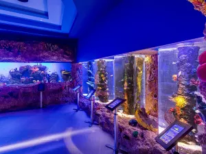 Cebu Ocean Park