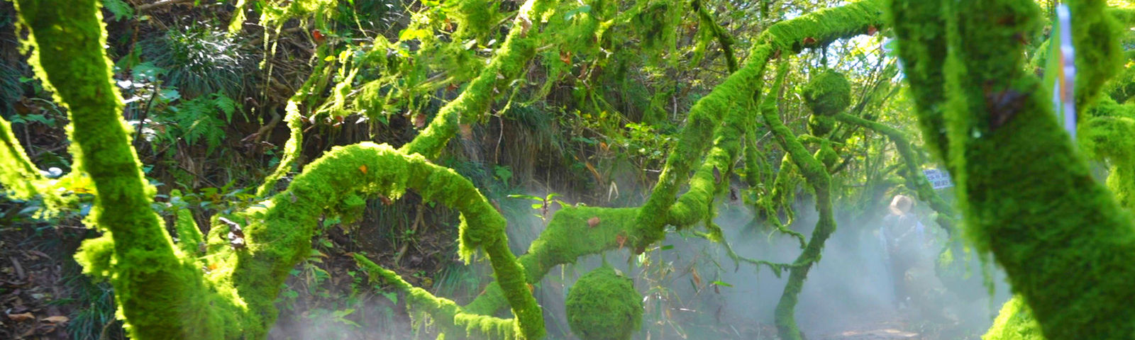 Kỳ XuânChụp Ảnh Du Lịch