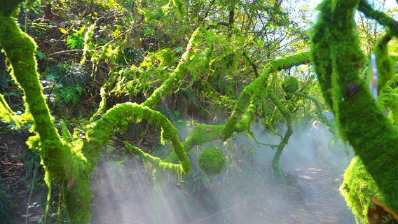 Qichun Grand Canyon Rafting