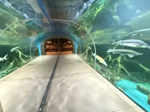Urumqi Aquarium