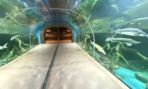 Urumqi Aquarium
