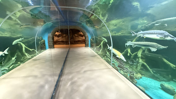 Urumqi Aquarium