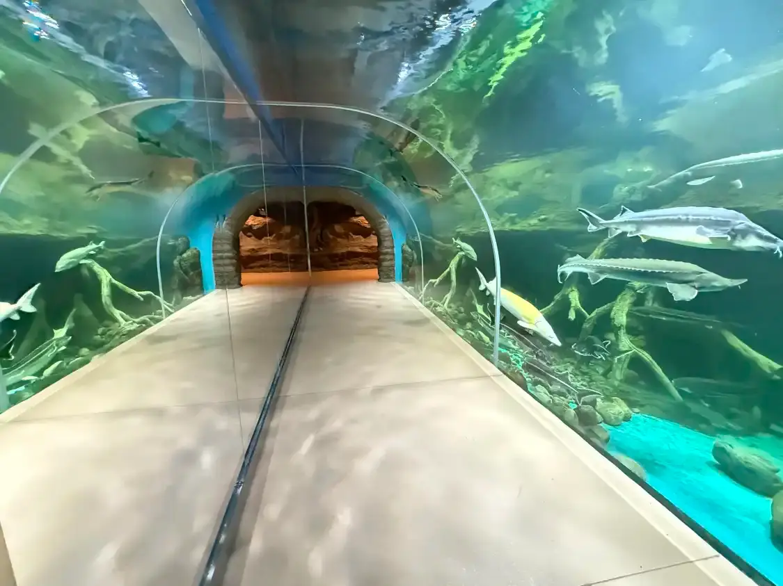 Hotels near Urumqi Aquarium