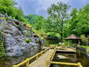 Canglong Gorge Scenic Area