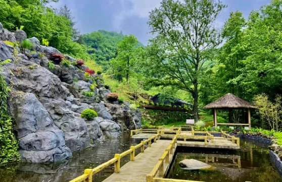 蒼龍峽風景區門票小童