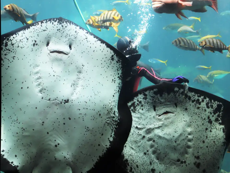 4_下田海中水族館