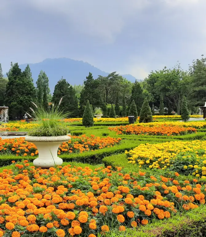 Cianjur Regency