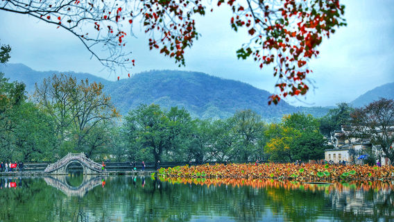 黃山日遊