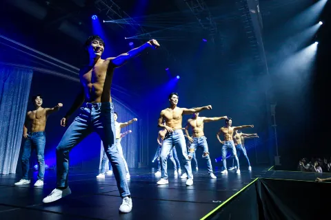 Wild Wild Show