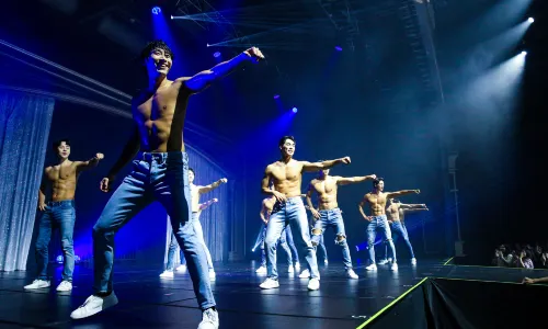 Wild Wild Show