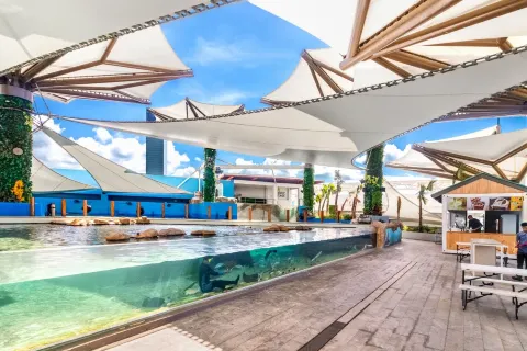 Cebu Ocean Park