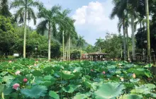 Tai Tong Organic EcoPark