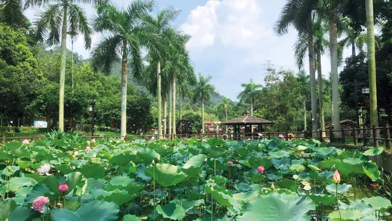 Tai Tong Organic EcoPark