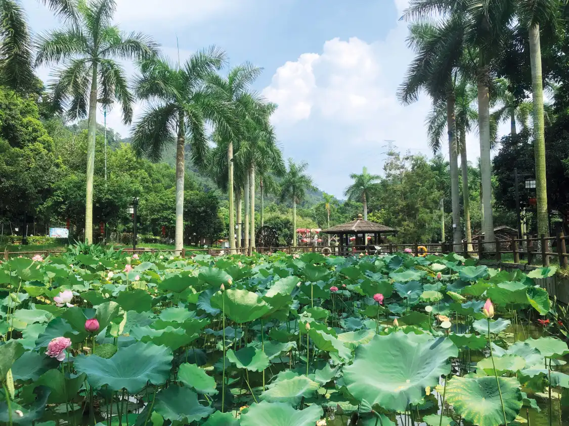 Hotels near Tai Tong Organic EcoPark