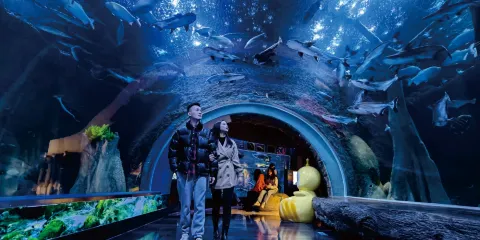 海濱城浩海立方海洋公園