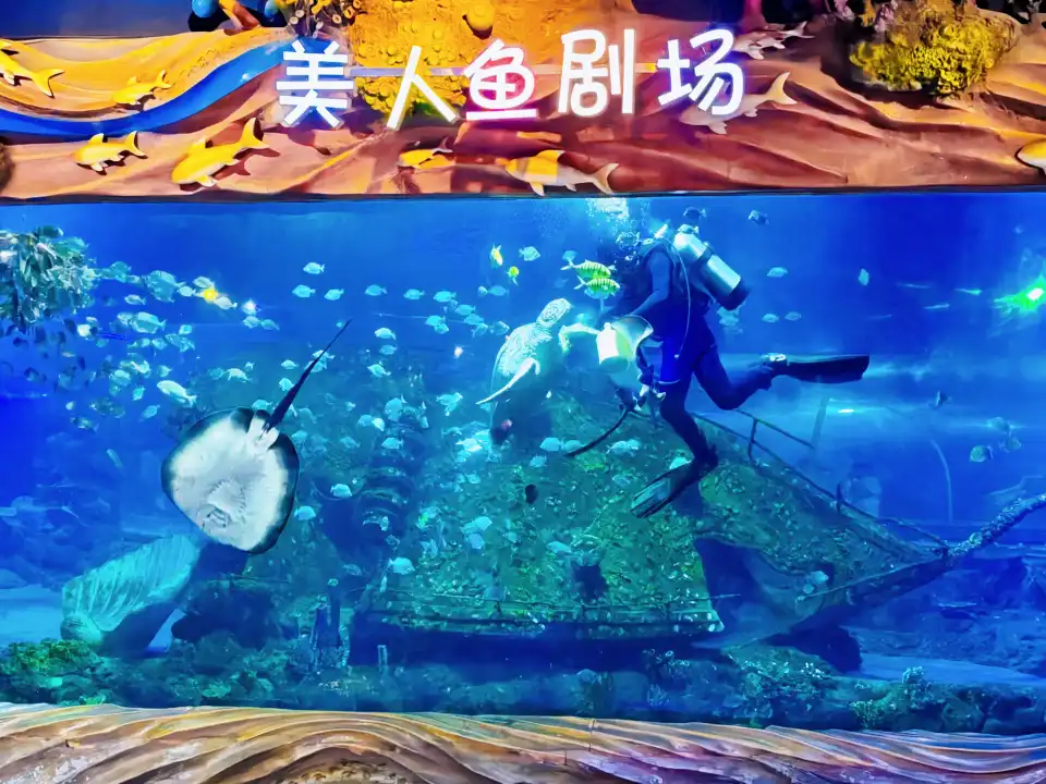 5_Xi'an Ocean Park
