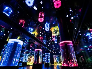 Maxell Aqua Park Shinagawa