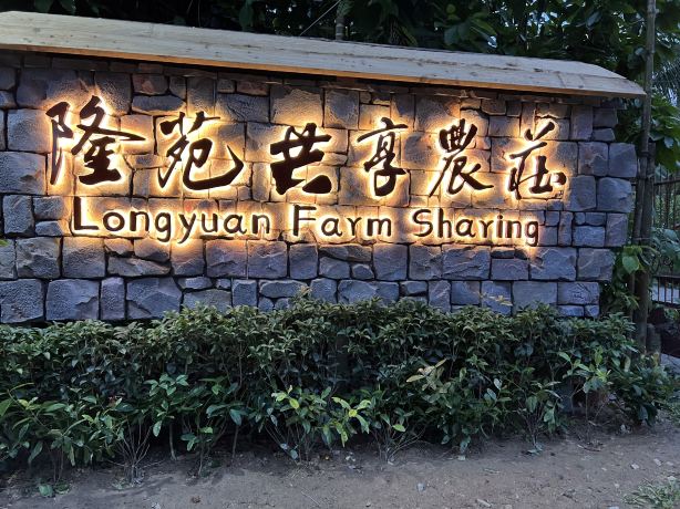 Longyuan Coffee Estate