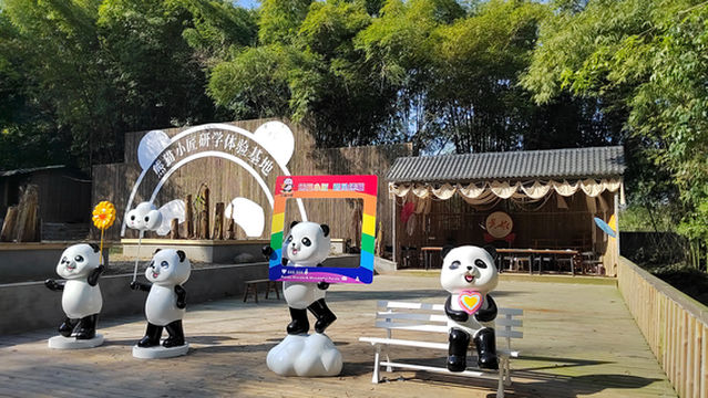 xiong mao xiao jiang yan xue ti yan ji di