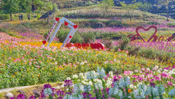 Cambrian Stone Forest Scenic Area
