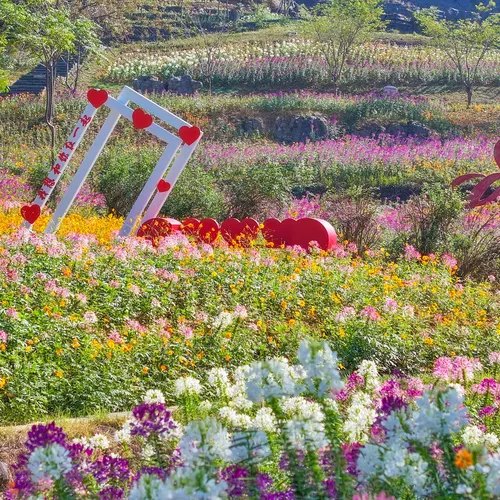 캄브리아기 석림 관광지