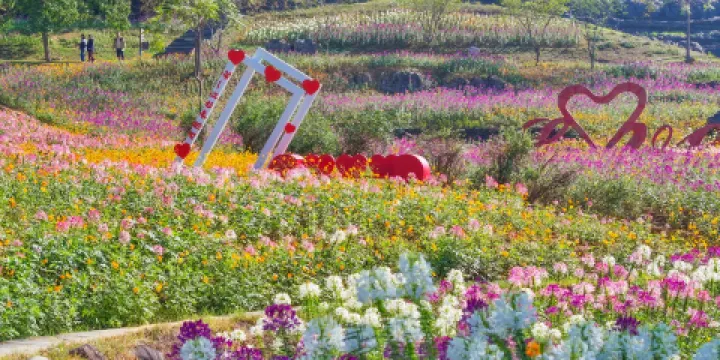 寒武紀石林景區