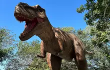 百果山探索樂園