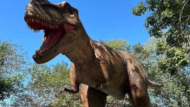 Baiguo Mountain Explore Paradise