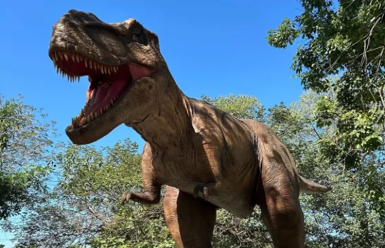 百果山探索樂園入園券+設施體驗券4張(碰碰車/大笨錘/瘋狂轉盤/飛天機長)+彩虹滑道體驗無限次家庭（1位成人+1位小童）