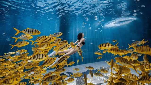 Jia Qian Diving Underwater Photography Club